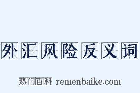 外汇风险反义词是什么意思的图片